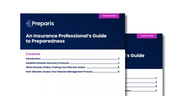 Preview of guide on white background