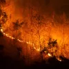 Preparing for the Wildfire Season Blog