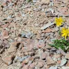 Trends in operational resilience webinar takeaways blog